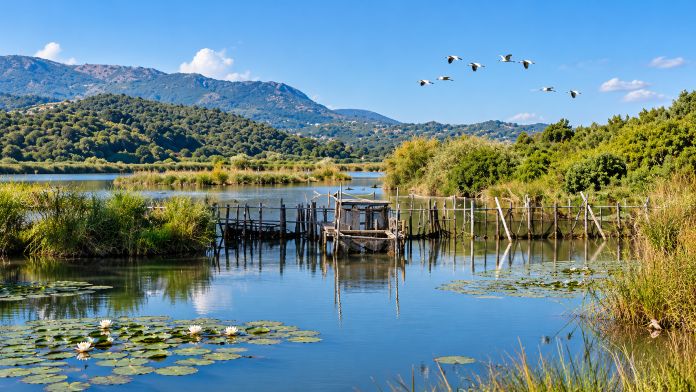 Antinioti Lagoon Natura 2000 wetland in northern Corfu