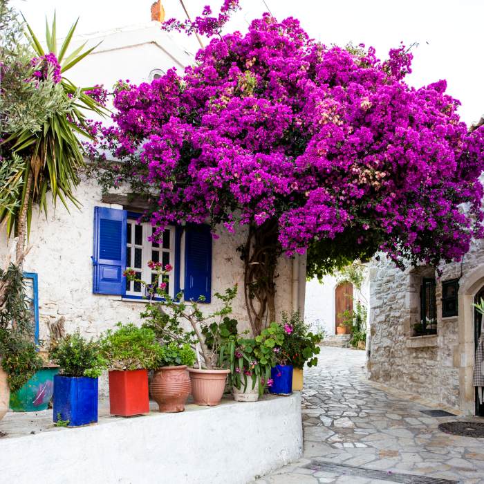 Afionas corfu greece