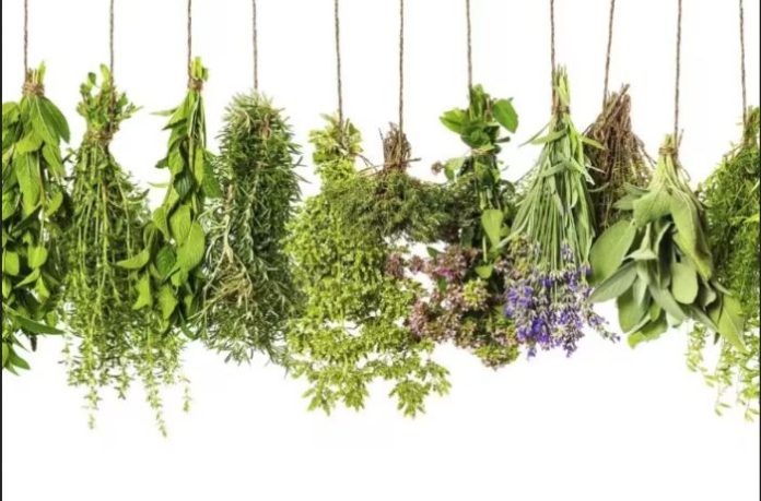 greek herbs