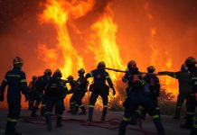 WILDFIRE SAFETY IN GREECE: Essential Guide for Tourists Greece Wildfires