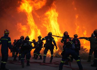 WILDFIRE SAFETY IN GREECE: Essential Guide for Tourists Greece Wildfires