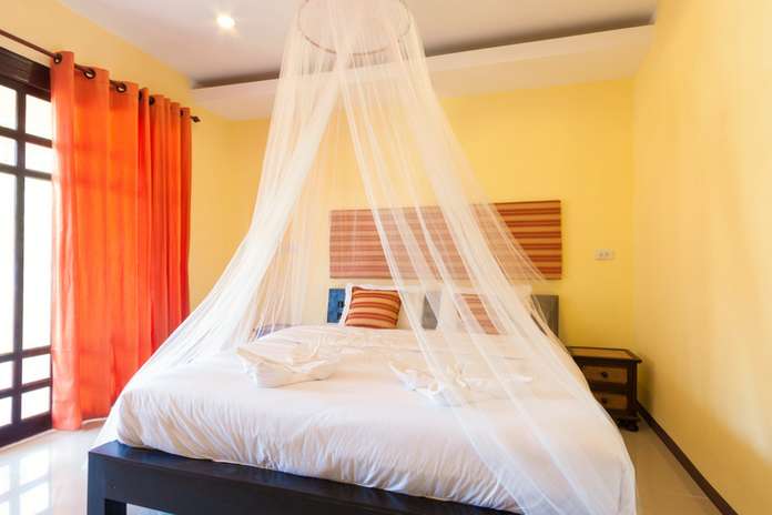 mosquito bed net