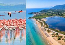 Have You Discovered Corfu’s Natura 2000 “Famous Five”? Have You Discovered Corfu’s Natura 2000 “Famous Five”?
